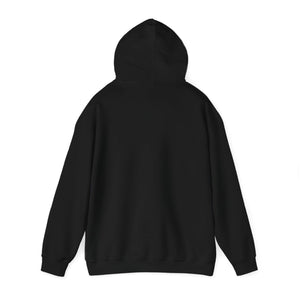 Altcoin Alley Unisex Pullover Hoodie